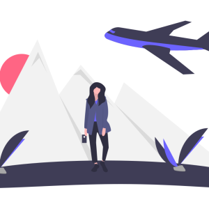 Aéroport : Acc + Ass + Transfert